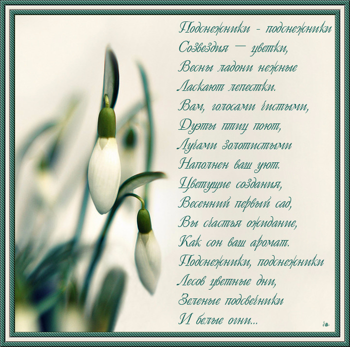 Поэзия весны стихи