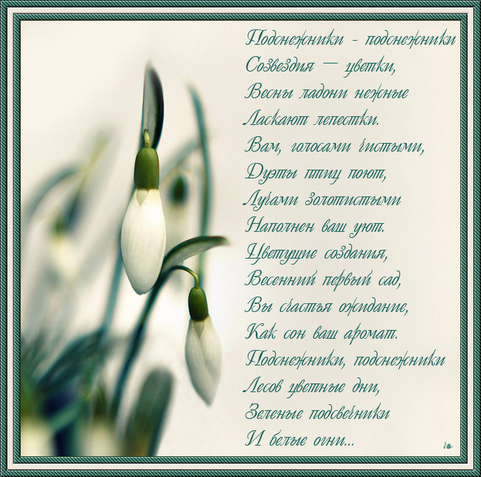 Стихотворение о весне. Стихотворение про Подснежник. Красивое стихотворение о весне. Стихотворение о весне март. С весной стихи.