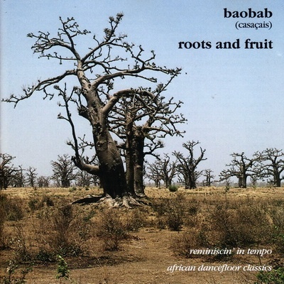 VA - African Tribal Music & Dances (1997)